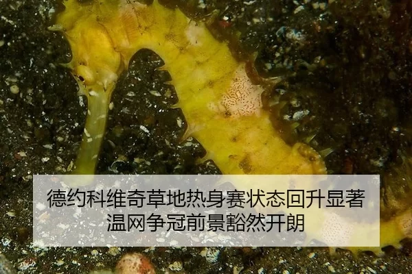 de-yue-ke-wei-qi-cao-di-re-shen-sai-zhuang-tai-hui-sheng-xian-zhu-wen-wang-zheng-guan-qian-jing-huo-ran-kai-lang-2-699.jpg